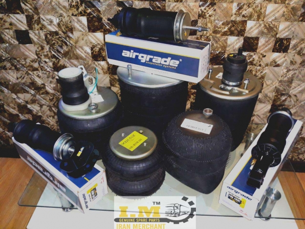 مرجع تخصصی کیسه باد در ایران